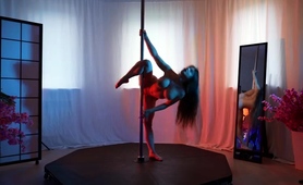 bodacious-pole-dancer-puts-on-fantastic-show-on-webcam